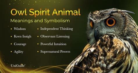 Explore Owl Meanings & Symbolism & The Owl Spirit Animal | UniGuide ...