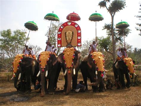 Elephant festivals of Kerala – Discovering India