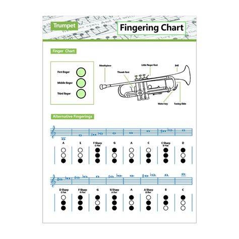 Trumpet Chord Chart Coated Paper Big Chord Poster Practice Chart - Walmart.com