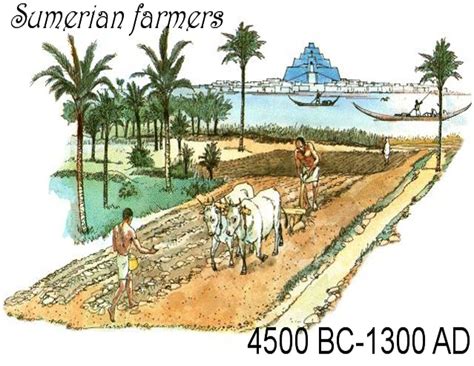 Mesopotamian Agriculture Crops