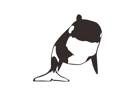 Premium Vector | Orca Whale Vector