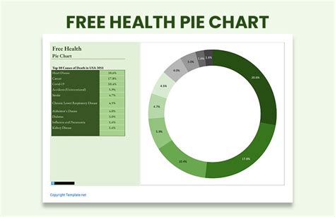 Free Health Pie Chart - Google Sheets, Excel | Template.net