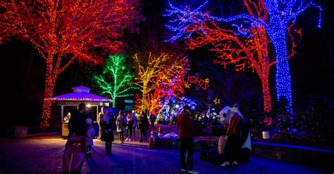 More Than A Decade Later, Zoo Lights At Smithsonian National Zoo ...