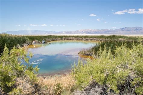 8 Steamy Hot Springs in Nevada and Where to Camp Nearby