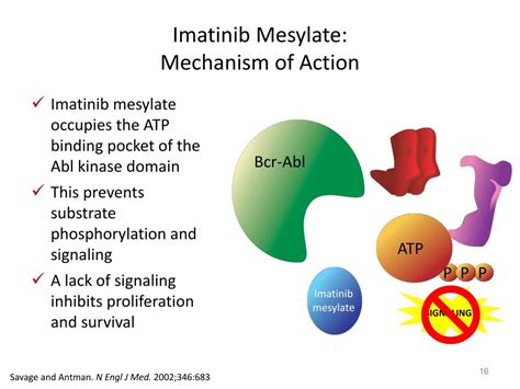 PPT - Chronic myeloproliferative disease PowerPoint Presentation, free download - ID:5914924