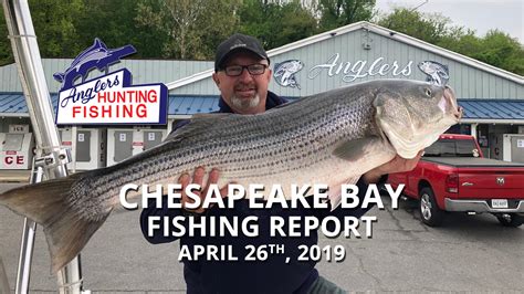 Chesapeake Bay Fishing Report - April 26th, 2019