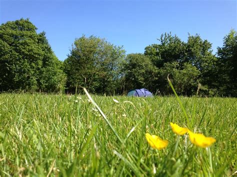 Campsites in East Anglia – Best campsites in Norfolk, Suffolk & Cambridgeshire – Cool Camping