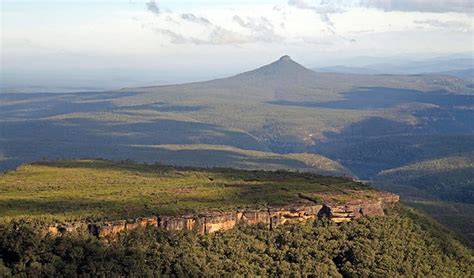 Pigeon House Mountain Didthul walking track | NSW National Parks