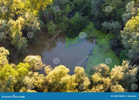 Aerial Photo of the Natural Flooding Drava River Stock Photo - Image of ...