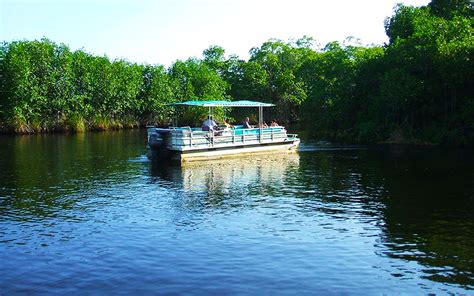 Black River Safari South Coast St Elizabeth Jamaica