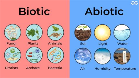 What are the Biotic and Abiotic resources? - GeeksforGeeks