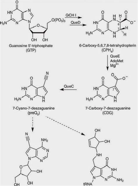 Pin by Terry Bowman on Chemical | Math, Molecular, Molecular structure