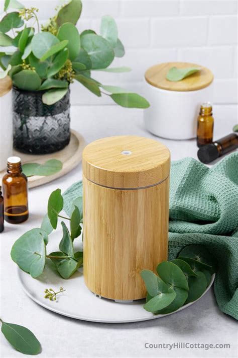 Eucalyptus Diffuser Blends