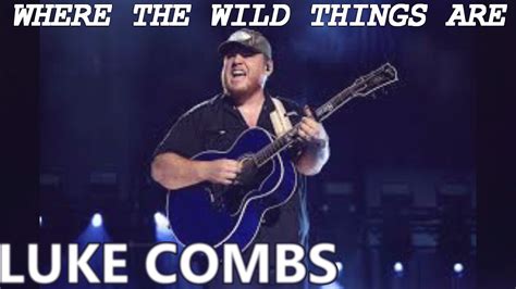 🎵 LUKE COMBS WHERE THE WILD THINGS ARE (LYRICS)