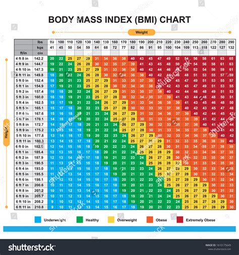 913 Bmi Chart Images, Stock Photos & Vectors | Shutterstock