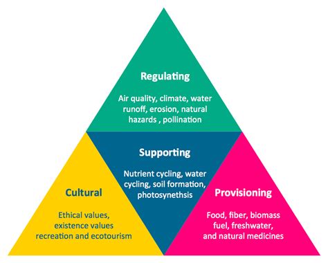 Diagram of a Pyramid