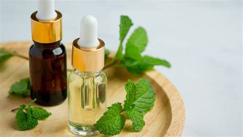 Essential Oils For Healthy Skin - Boldsky.com