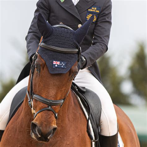 Bates Saddles | Optimise your horse's comfort and performance