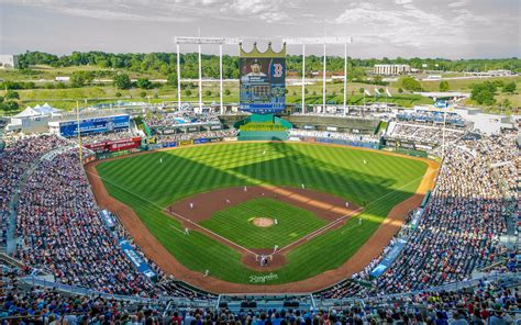 Kansas City Royals - Stadium Dude