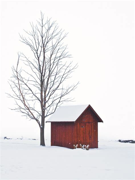 Winter Scenes in Canada: A Gorgeous Photo Gallery | Our Canada