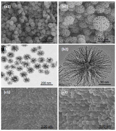 Nanomaterials | Free Full-Text | High Performance Shape-Stabilized ...