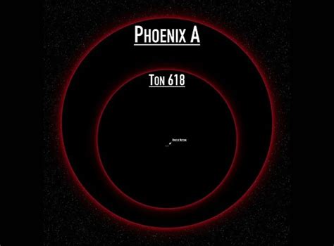 Phoenix A*: Insights Into The Universe's Largest Black Hole - SciQuest