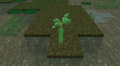 Mangrove propagule in Minecraft: Everything you need to know