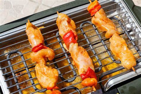 Marinated Chicken Brochette on Electric Barbecue Stock Image - Image of apricot, grill: 119360147