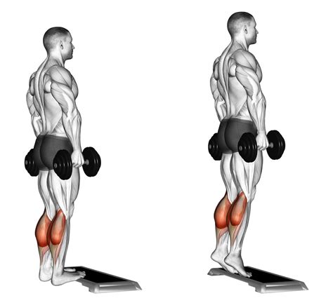 Dumbbell Standing Calf Raise Exercise Guide and Videos – Fitness Volt