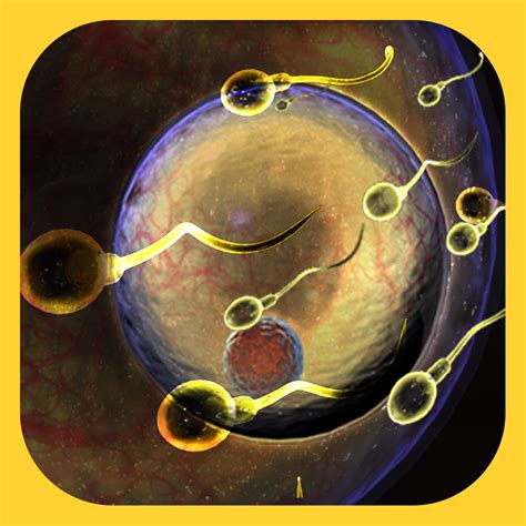 Reproductive System (Human Reproduction) - Anatomy - Jr. Animated Atlas Series By Expanded Apps ...