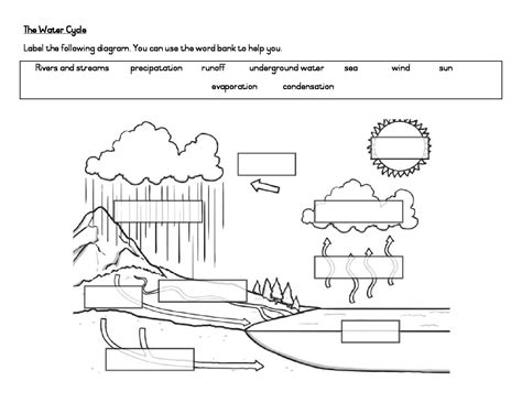 Explore the Water Cycle with Engaging Diagram Worksheets