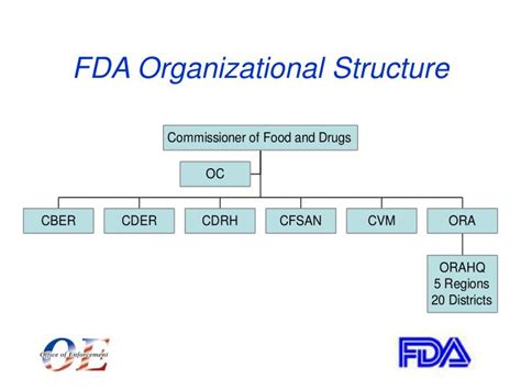 PPT - FDA Recalls PowerPoint Presentation - ID:6529957