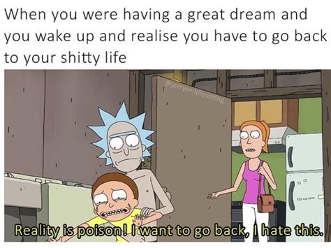 40+ Of The Funniest Rick And Morty Memes EVER! Rick And Morty Meme ...