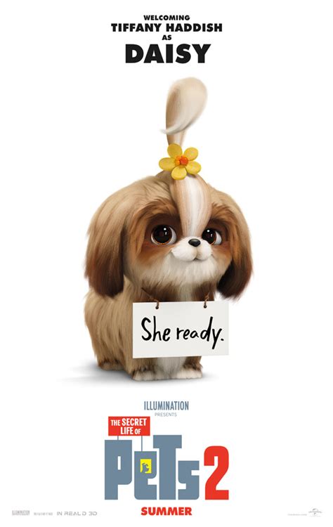Daisy is Planning a Mission in Fourth 'The Secret Life of Pets 2' Teaser | FirstShowing.net