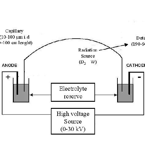 Separation process in capillary electrophoresis. | Download Scientific ...