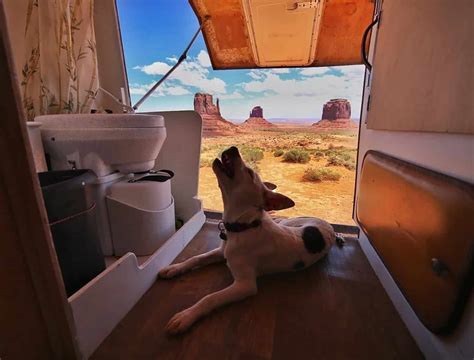 The 12 Best RV Toilets (Review And Buying Guide) To Buy In 2022