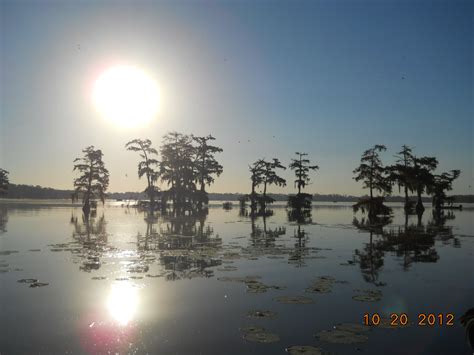 Louisiana Swamp Tours: Louisiana Swamp Tours in November