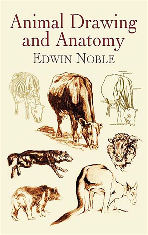 Animal Drawing and Anatomy eBook by Edwin Noble - EPUB | Rakuten Kobo ...