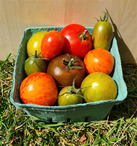 The Green Forest Farm - Tomatoes, Vegetables, Microgreens