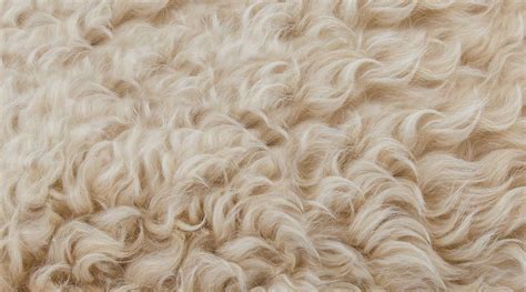 What's up with Wool? – Drapers Fabrics