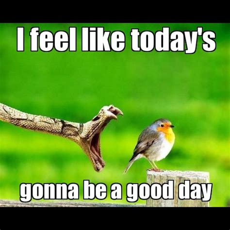 I feel like today's gonna be a good day | Smiješne slike, Motivational posters, Letting your ...