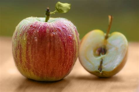 DIY Cider Making: Storing Your Apples | Making Hard Cider at Home