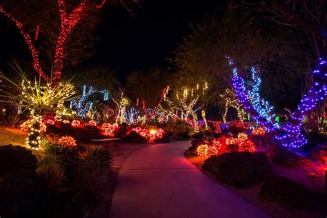 ‘Lights of Love’ opens at Ethel M cactus garden ahead of Valentine’s ...