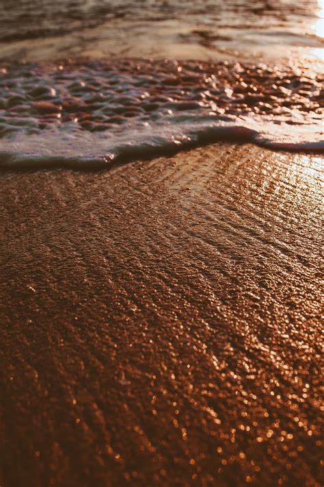 Brown Seashore · Free Stock Photo