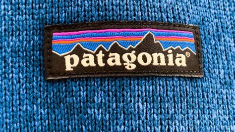 Patagonia Was Just Ranked the Most Respected Brand. This Unconventional Idea From Its Founder ...