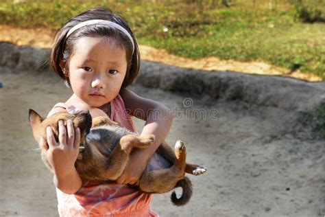 Dog Lovers editorial stock photo. Image of expression - 37495683