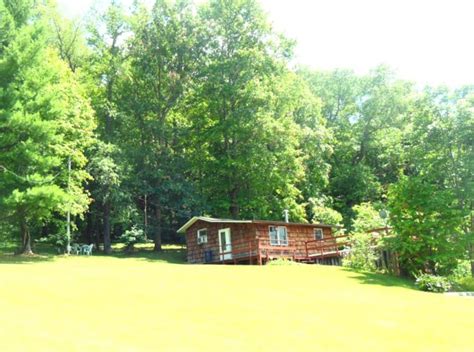 Atwood Lake year-round getaway cabin - Cabins for Rent in Dellroy, Ohio, United States