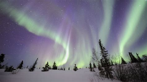 Aurora Borealis Northern Lights Snow Winter Night Stars HD wallpaper ...