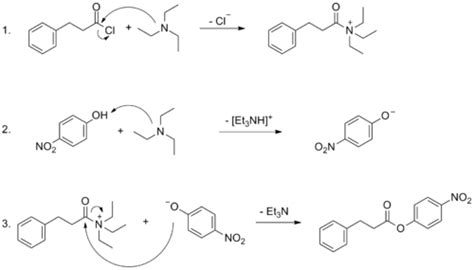 Team:TU Darmstadt/Protocols/Synthesis of paranitrophenylesters with ...