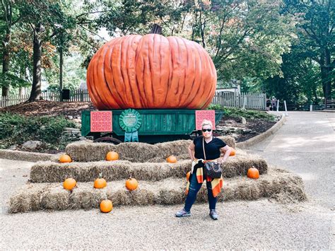 5 Reasons To Attend Busch Gardens Halloween Harvest * River City Belle